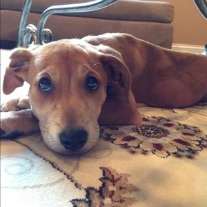 Meet your Posher, Nikolle